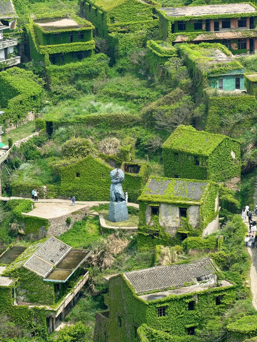 枸杞岛 · 2026